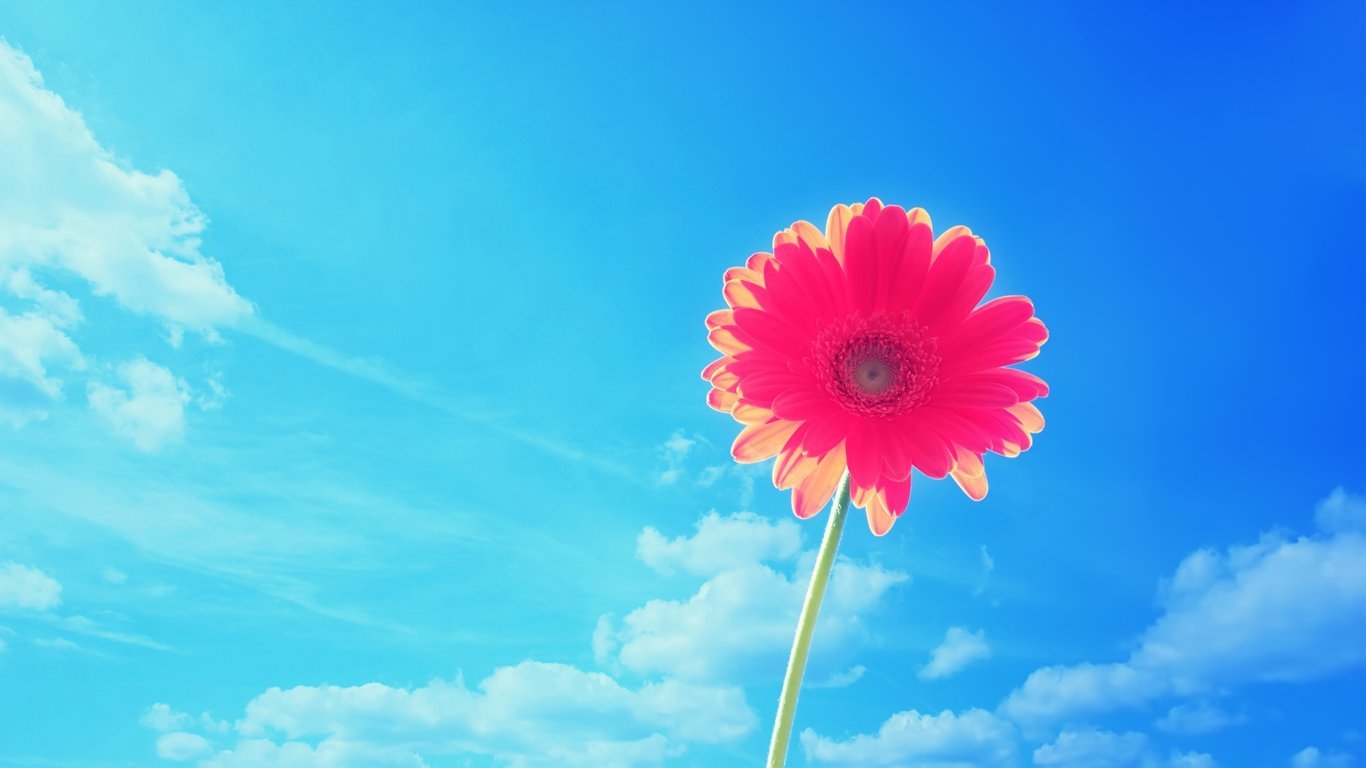 κĂ(g)˺v