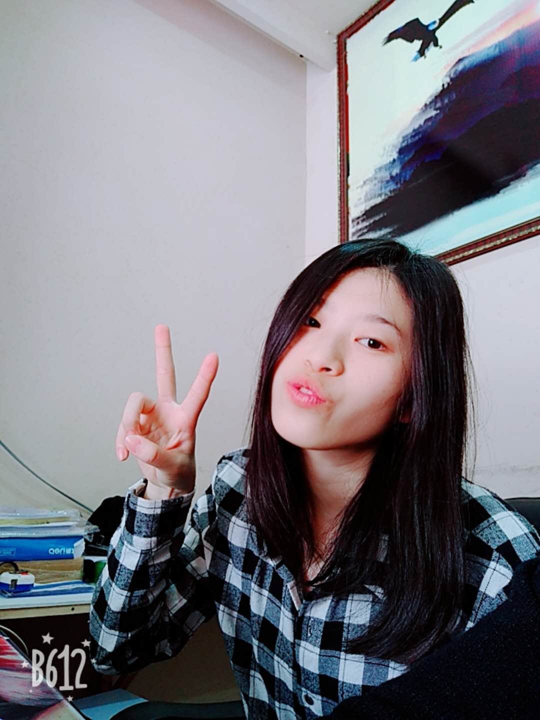 κСĂ(g)˺(jin)v